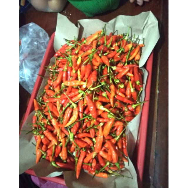 

Cabe rawit merah
