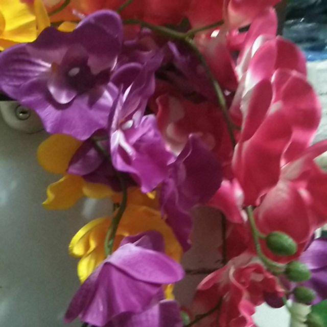 Anggrek Bulan Artificial Jumbo