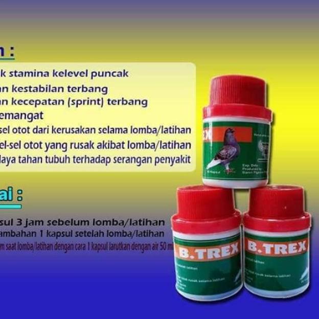 ➪ baron b-trex isi 10 kapsul ☪