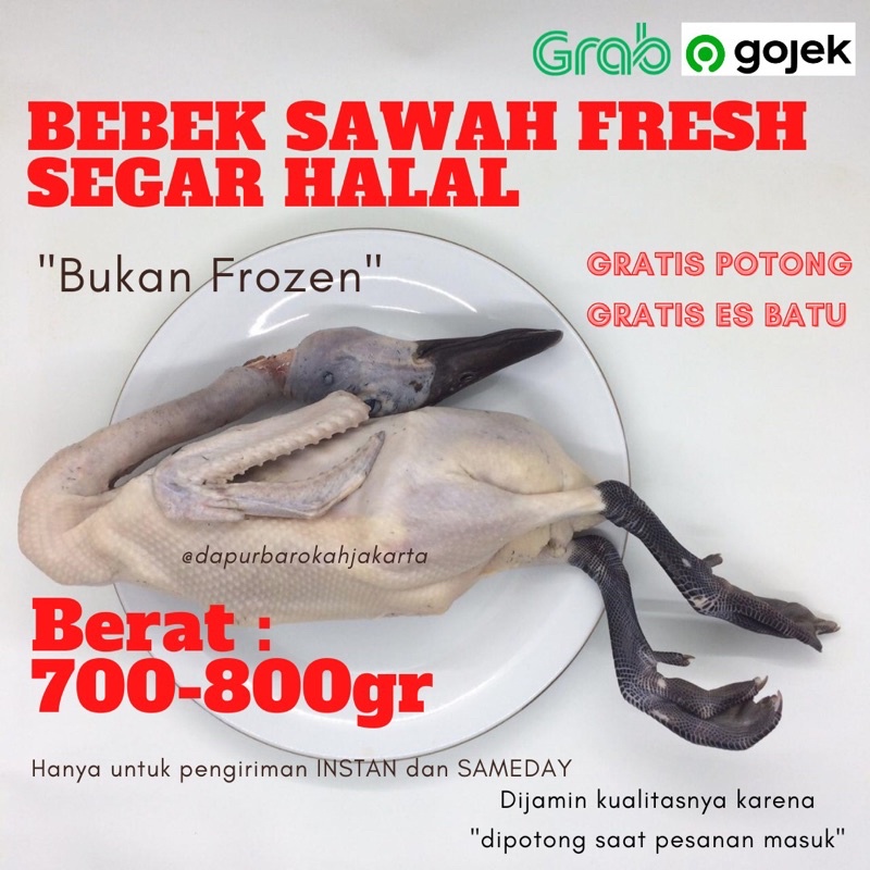 

BEBEK SAWAH SEGAR BERSIH HALAL MURAH BERKUALITAS [700-800 GR]