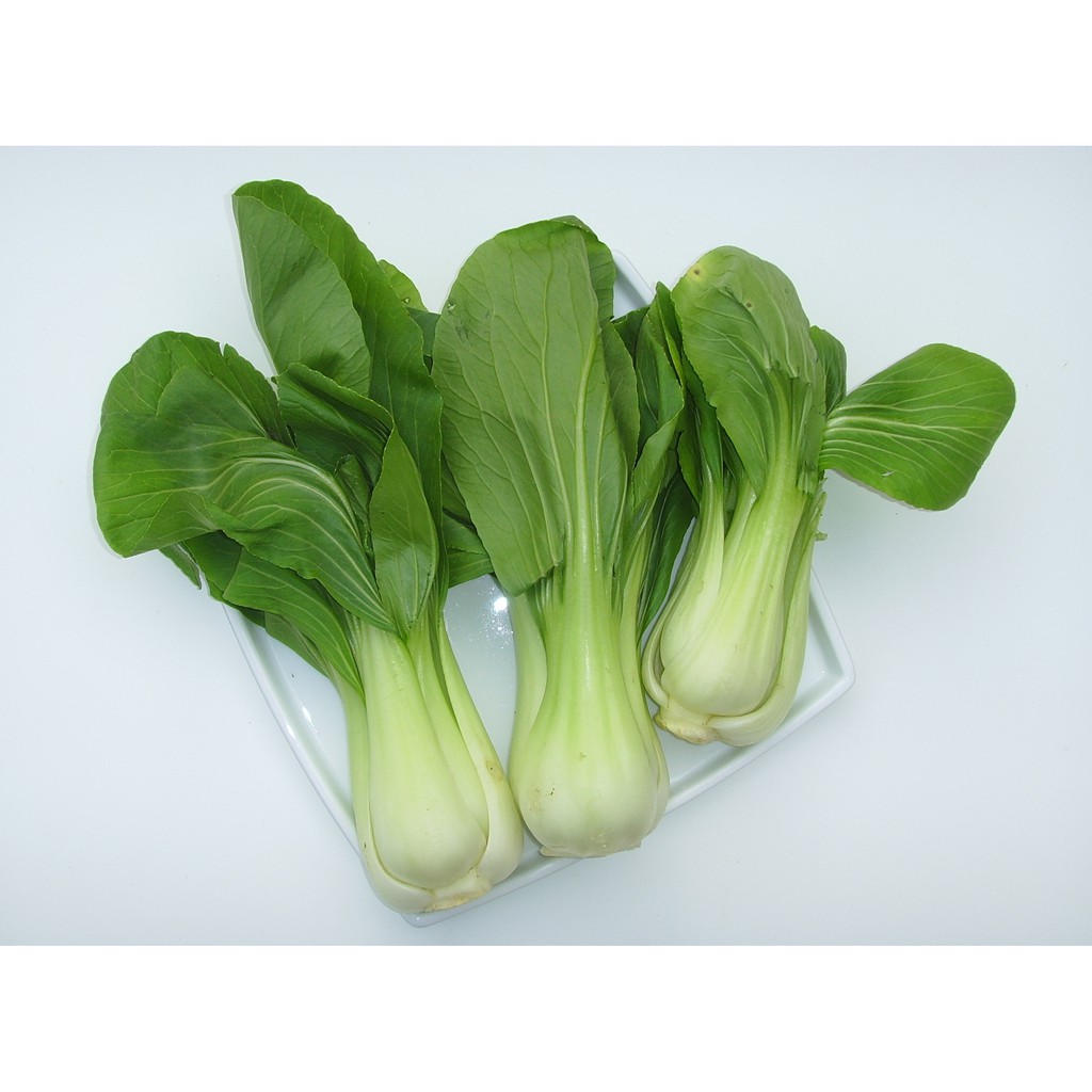 

Pakcoi Lokal Fresh