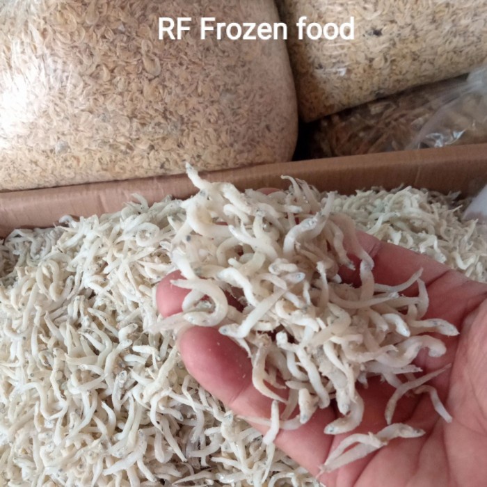 

ikan Teri Nasi/Teri Medan 1kg