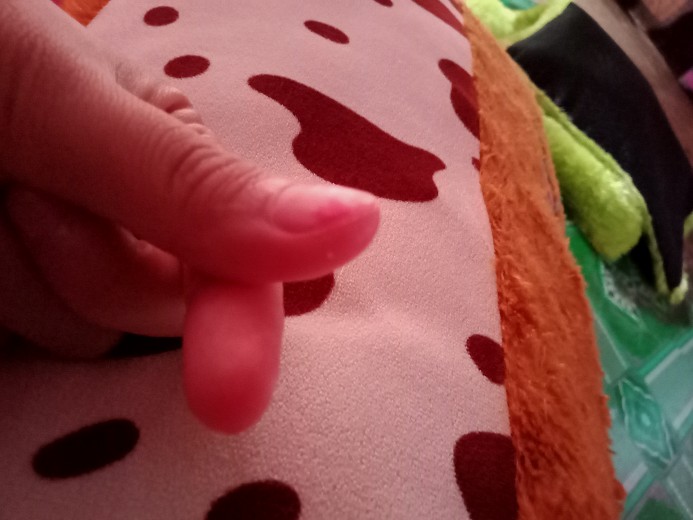 Promo Lunch Box Yooyee 415 Sekat 4 /kotak Makan /tempat Bekal (1-31 Maret 2020)