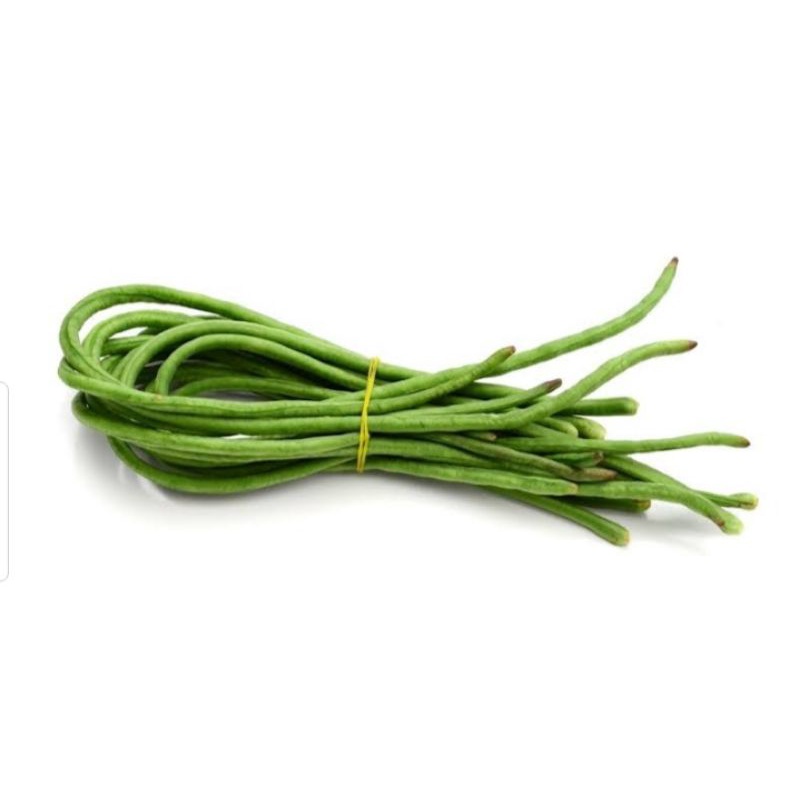 

Kacang panjang