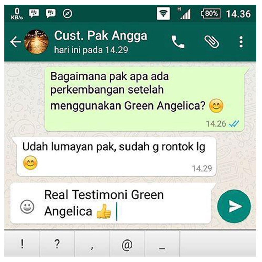 Paket Perawatan Rambut dan Menebalkan Green Angelica Combo 3