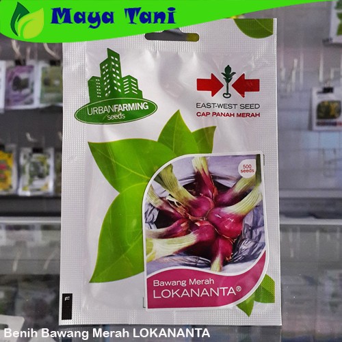 Benih Bawang Merah LOKANANTA Isi 500 Seeds - Panah Merah