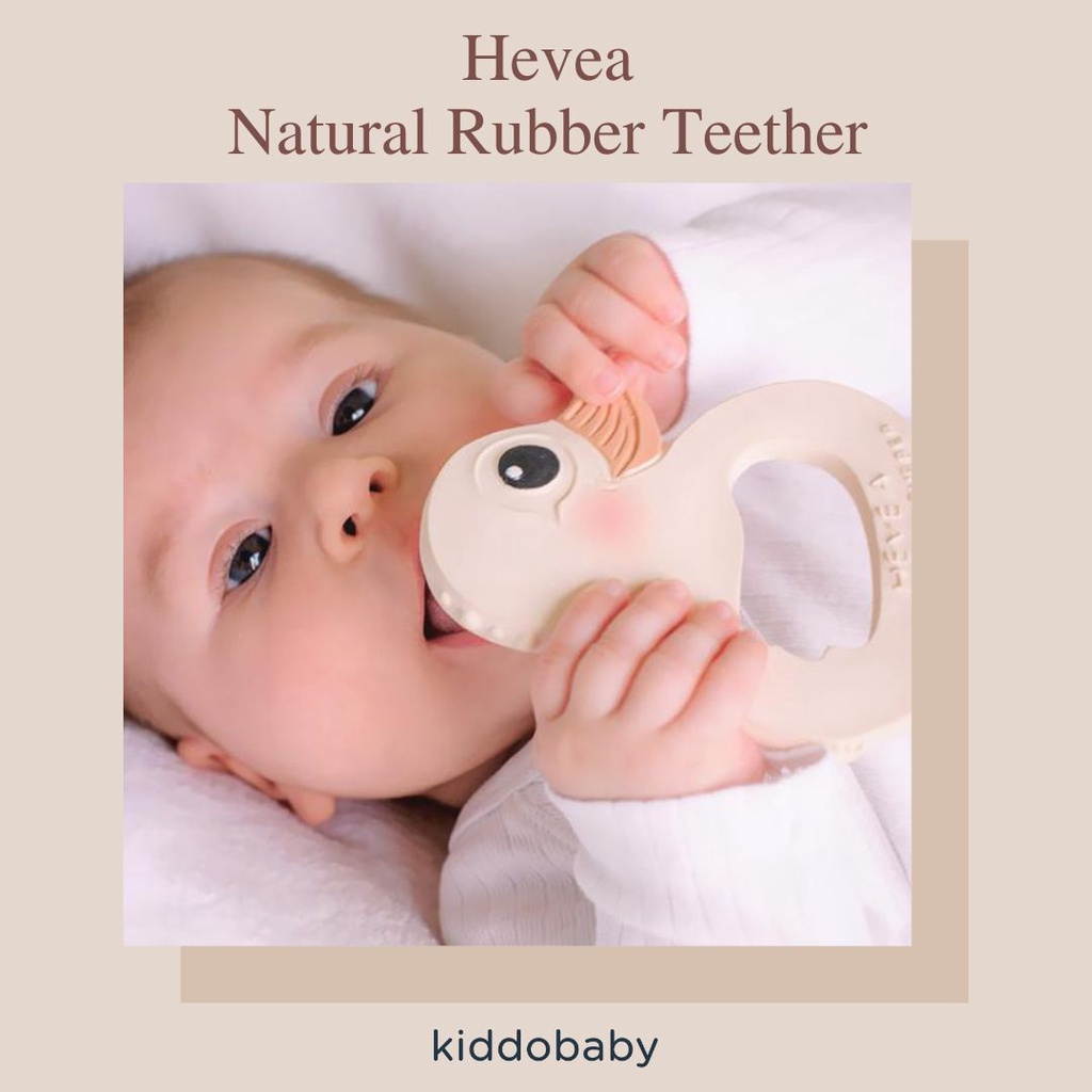 Hevea Natural Rubber Teether | Gigitan Bayi