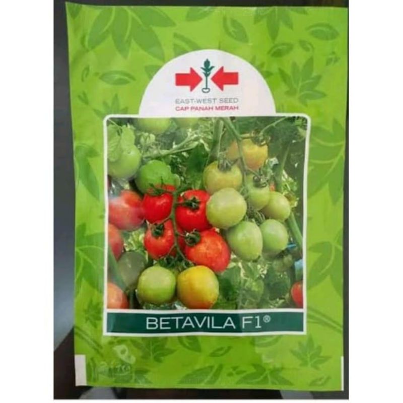 Benih bibit Tomat Betavila F1 1750 butir