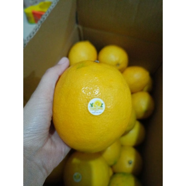 

BUAH LEMON CALIFORNIA 1 BUAH (1 PCS)