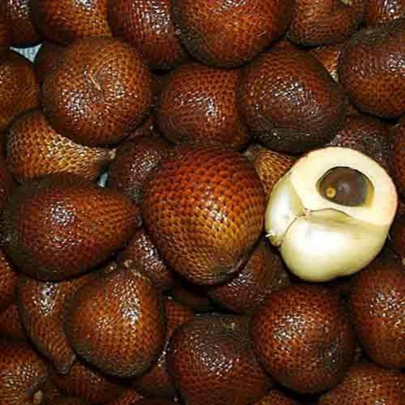 Salak pondoh Asli Turi