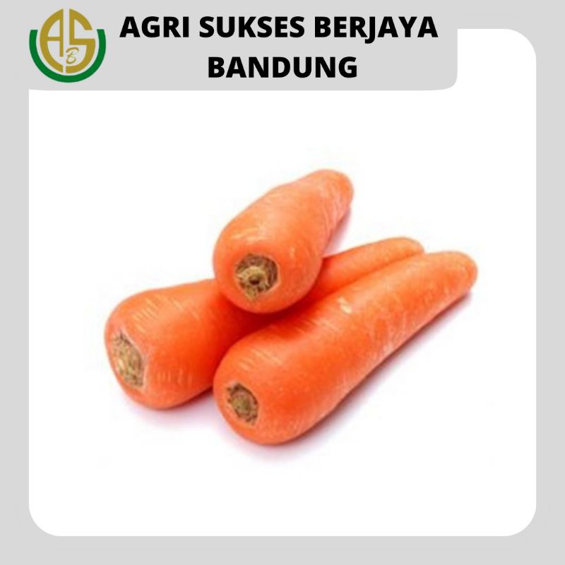 Jual Wortel Brastagi Berastagi Impor Shopee Indonesia