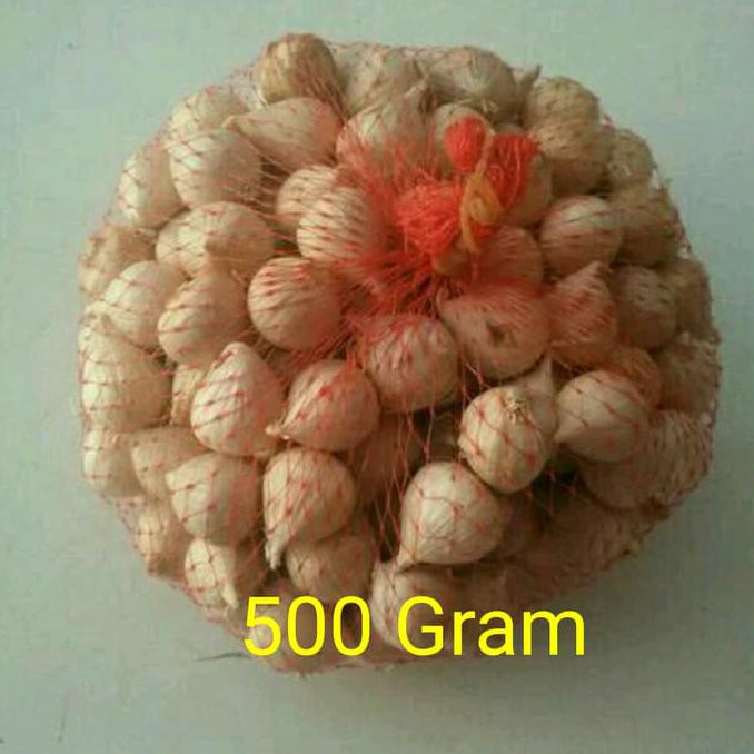 

Neww Bawang Putih Tunggal / Bawang Lanang Berkualitass
