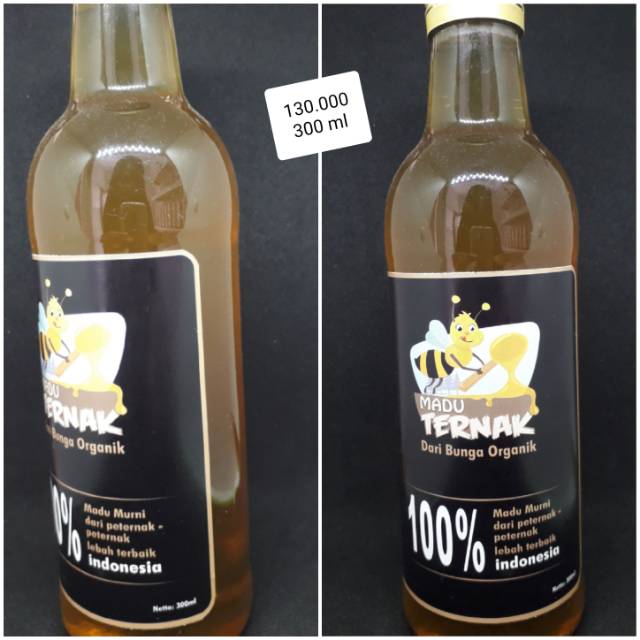 

MADU ASLI madu murni madu original madu sehat madu obat madu ternak bunga mellifera