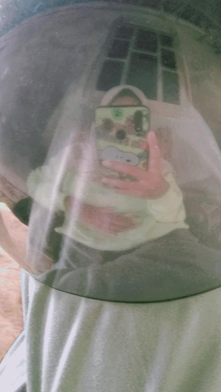 Batu Koral Putih Kupang