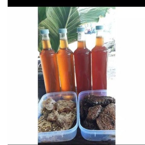

Madu Liar Asli 550ml (800gr)
