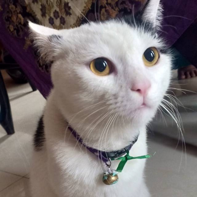 yennisusanti5