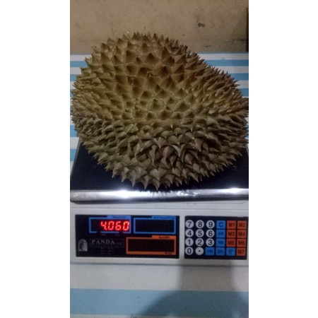 Durian Montong Utuh / Duren Montong Fresh 4kg