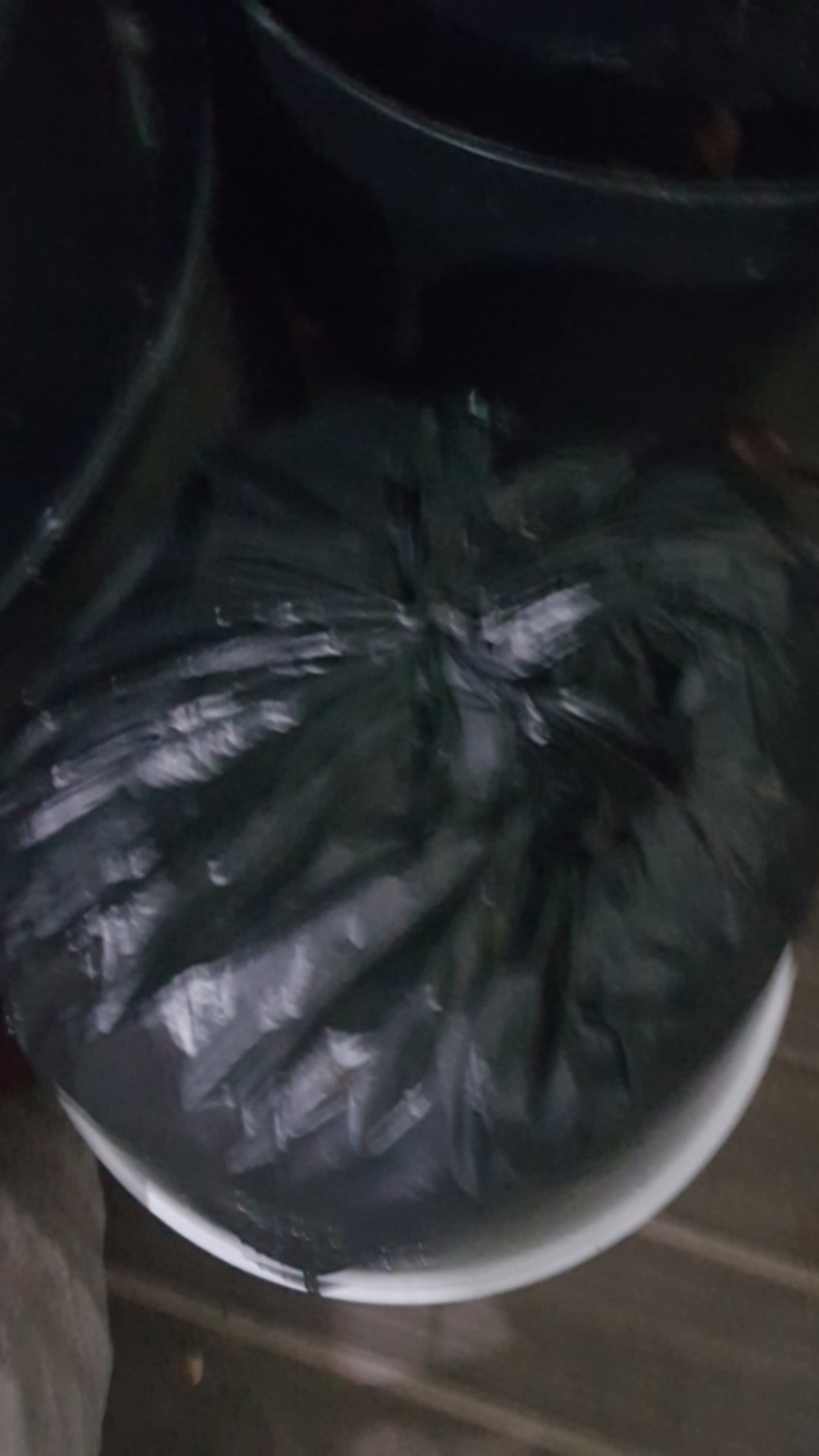 Kaliandra Media Tanam Anggrek