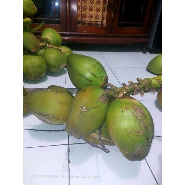 

Kelapa ijo