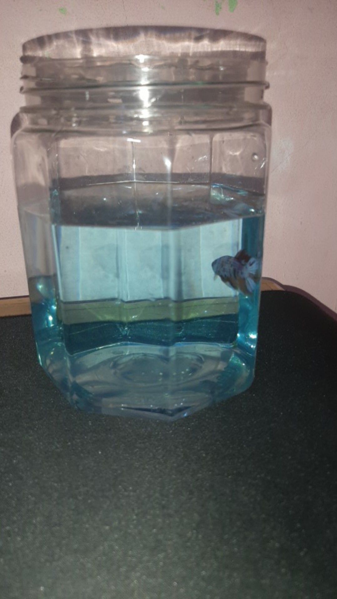 Toples/jar Plastik Gagang/ Hexagonal/segi Delapan 1 Liter