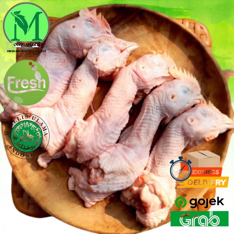 

Daging Ayam Kepala Ayam Potong Broiler Segar [1KG] Bukan Frozen Ayam Broiler Utuh Potong Jogja