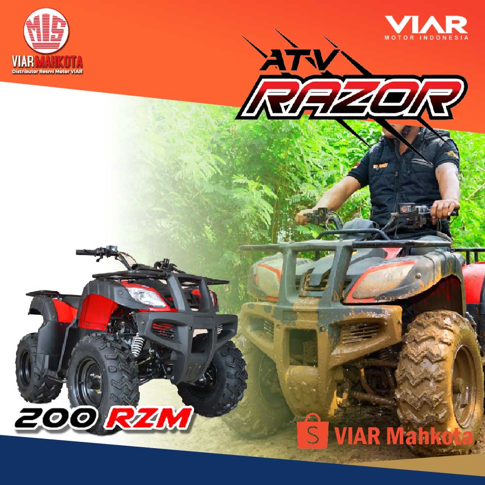 ATV Razor 200 RZM by VIAR