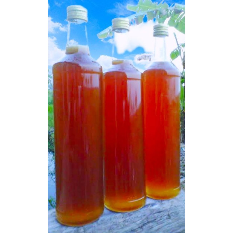 

Madu Asli Pohon Ketapang Kalimantan Tengah