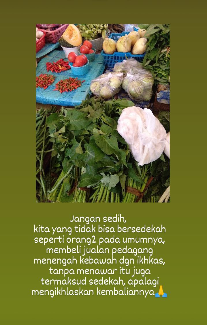 Alat Garuk Punggung Extendable Telescopic Stainless Steel