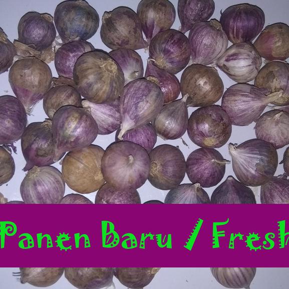 

#####] Bawang Putih Tunggal / Lanang 1Kg