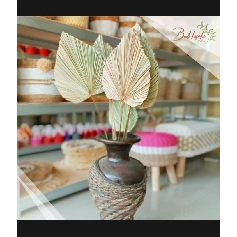 PROMO DAUN PALEM KERING HIASAN DAUN PALEM RUSTIC UKURAN S MURAH