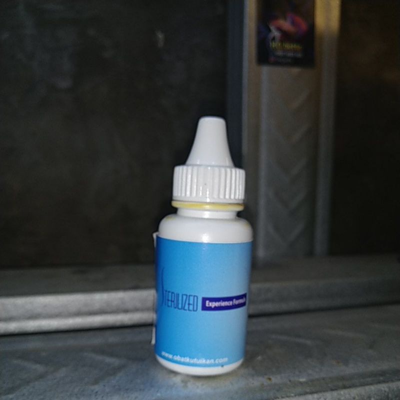 Sterilized ikan cupang ( Real Pict )