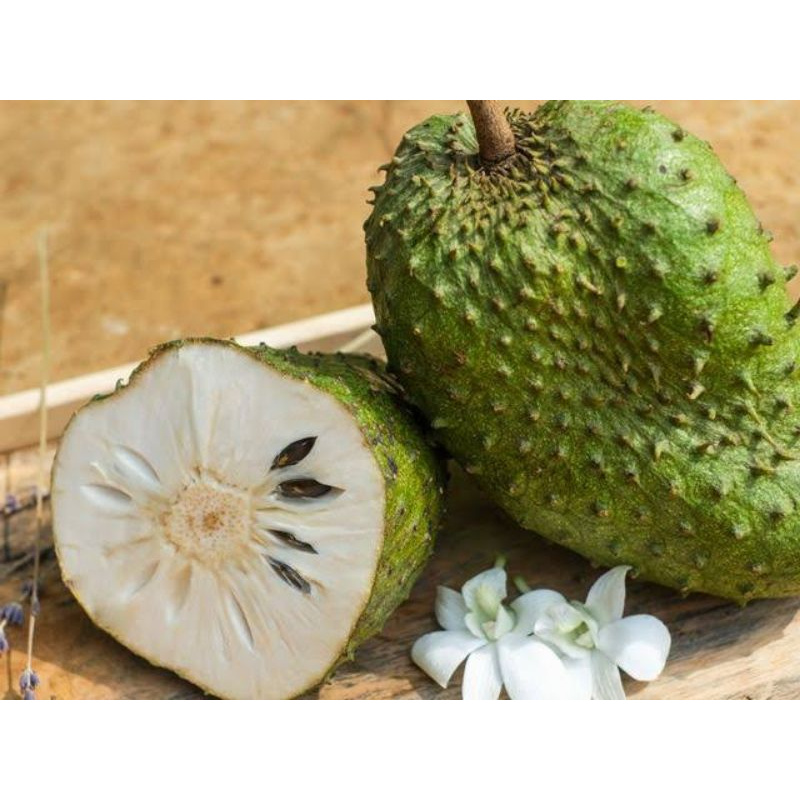 

buah sirsak segar/sirsak 1 buah
