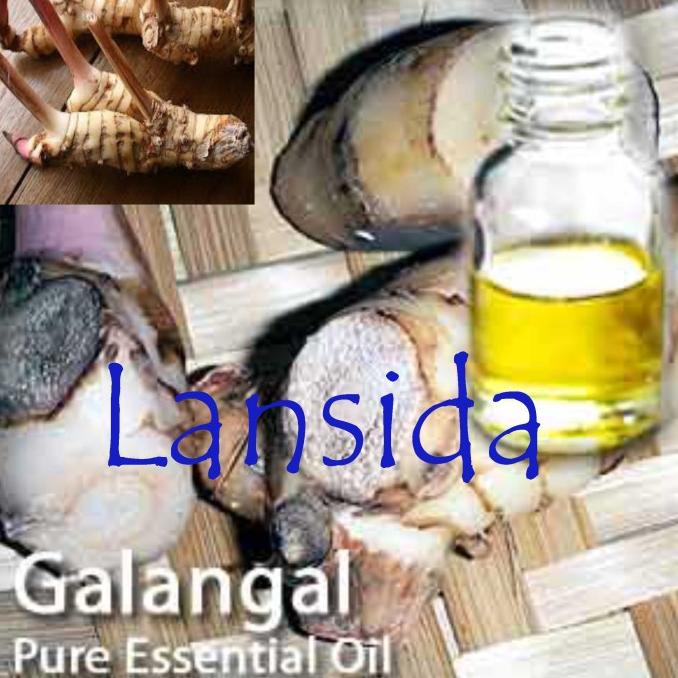 Pure Galangal Essential Oil 25 Ml / Minyak Atsiri Lengkuas / Alpinia