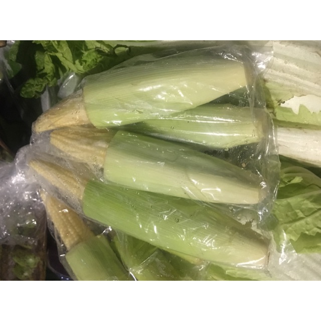 

Jagung muda / putren (murah segar)