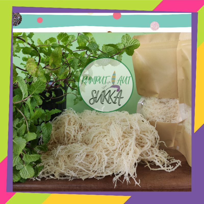 

Rumput laut kering normal 250 gram kemasan premium