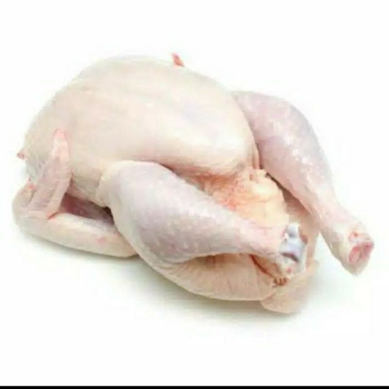 

ayam potong