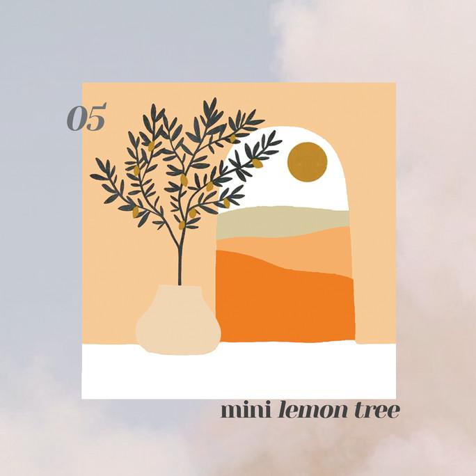 

Diy Paint By Numbers Kit - Mini Lemon Tree
