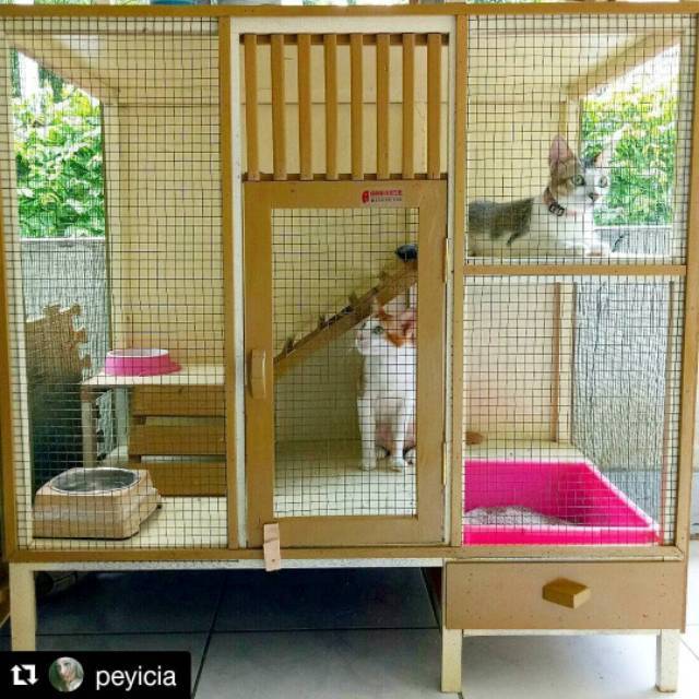 Jual Rumah Kucing Kayu