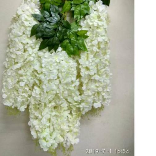 ⅍ Wisteria Jumbo Putih / Wisteria plastik / Wisteria murah / Harga per lusin ✧