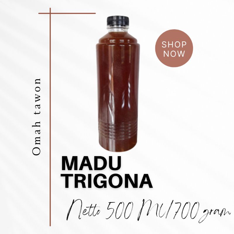 Madu trigona madu klanceng madu kelulut 500 gram