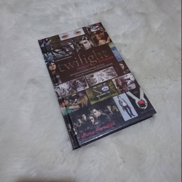 Twilight, Catatan Sutradara