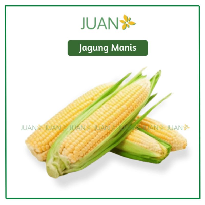 

Jagung Manis 1 kg - Juan Freshmart
