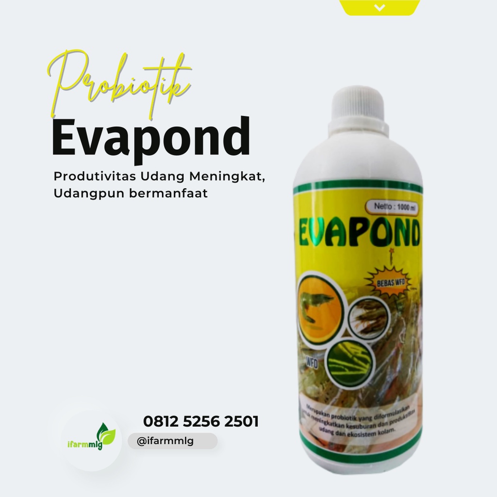 Evapond 1 L – Probiotik Udang Antibiotik Udang - Obat Berak Putih Udang - Obat Udang WFD - Obat Anti