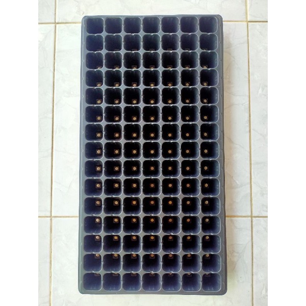 Pot tray_Tray semai 105 hole/lubang_Cocok untuk bibit cabai