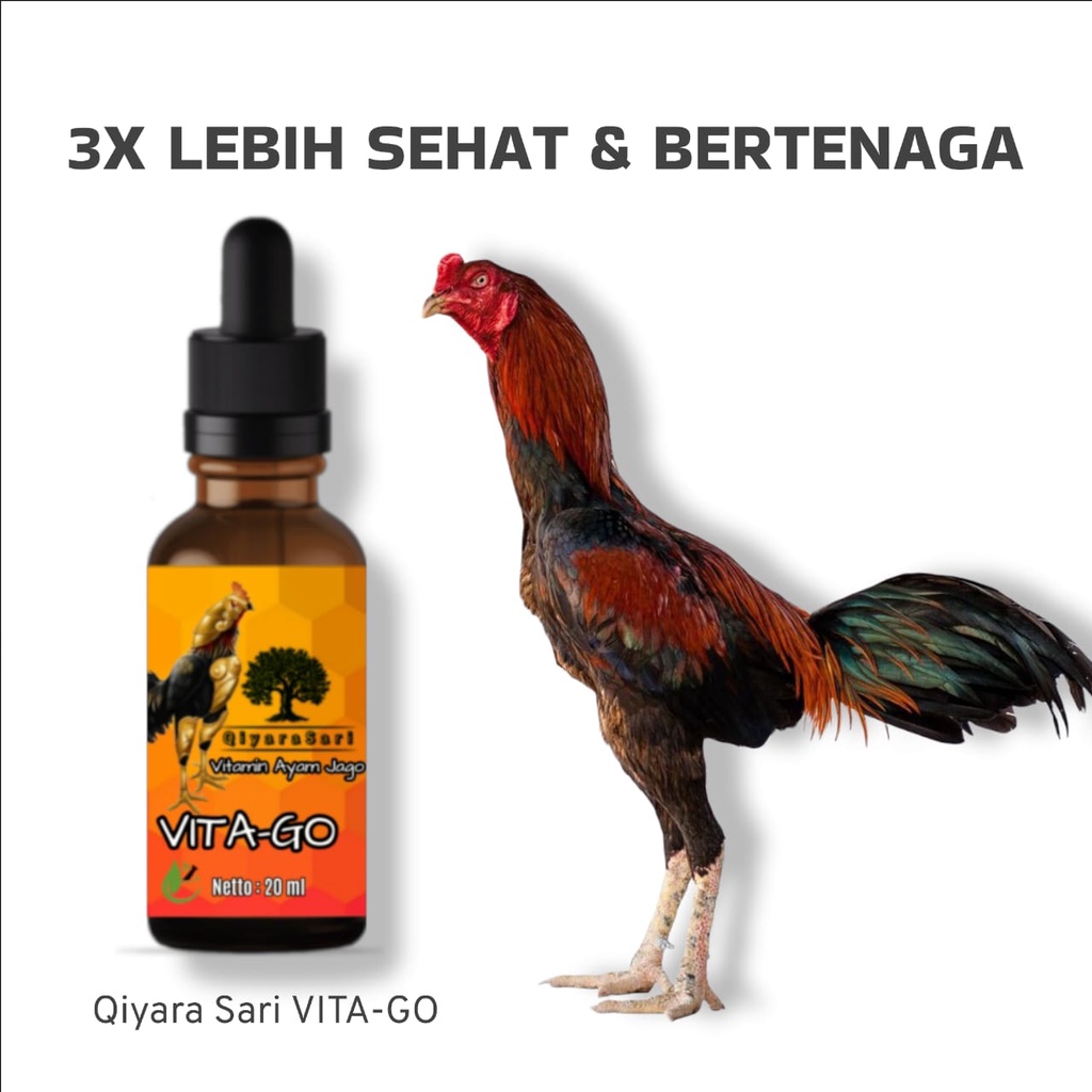 Qiyara Sari Vitamin Ayam Jago Sehat dan bertenaga