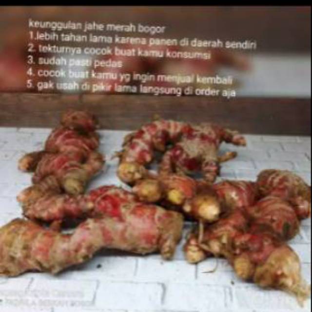 JAHE MERAH MEDAN MURAH MERIAH JAHE MERAH SEGAR 1kg JAHE MERAH DENGAN TANAH