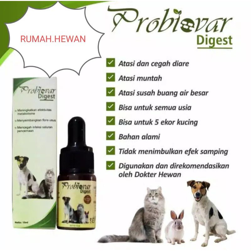 Promo ProbioVar Digest 10ml - Obat Untuk Atasi Diare Kucing Anjing Kelinci