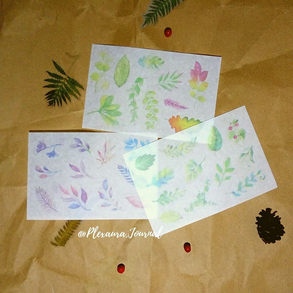 

Sticker Bujo “Color Leaf” untuk Scrapbook, Bujo dan Journal Cibinong Bogor