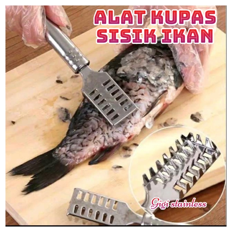 AZ Alat Pembersih Pengupas Sisik Ikan Stainless Steel Anti Karat /Kupas /Serutan /Import