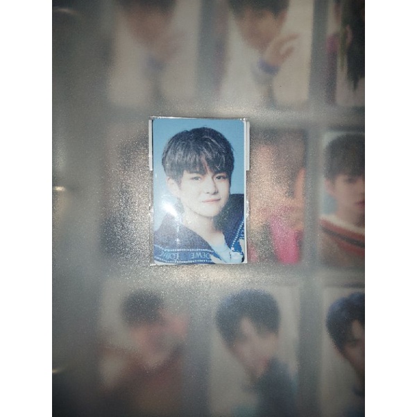 CASHBEE YOSHI TREASURE